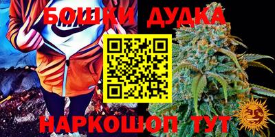 дмт Кандалакша
