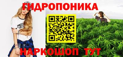дмт Кандалакша