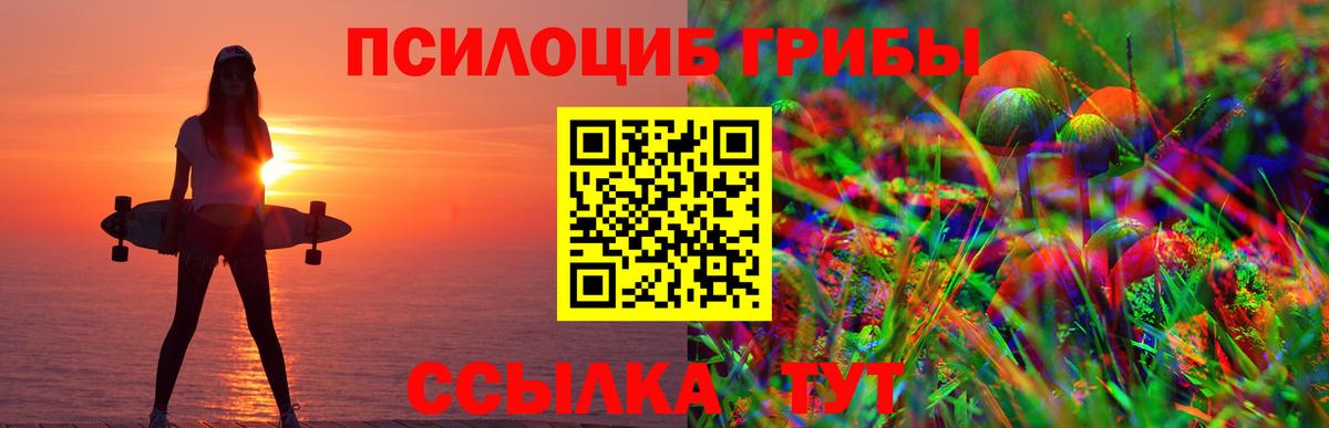 Одинцово  Псилоцибиновые грибы Magic Shrooms  закладки  Вход с VPN  Псилоцибиновые грибы GOLDEN TEACHER 